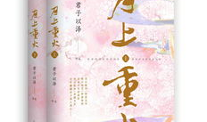 月上重火小说在线阅读,江湖情仇,烽火连天
