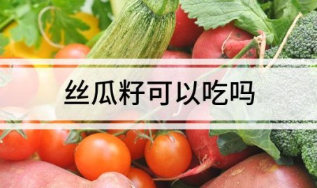丝瓜籽可以吃吗